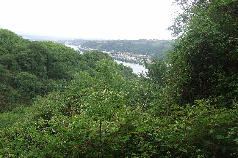 2011-05- (434).JPG - Zwischendurch immer wieder ein Blick auf die Rhône (im Französischen ist die Rhône männlichen Geschlechts: "Le Rhône" -  klingt im Deutschen aber nicht so gut: "Der Rhône"  (deshalb bleibe ich beim deutschen weiblichen Geschlecht...)